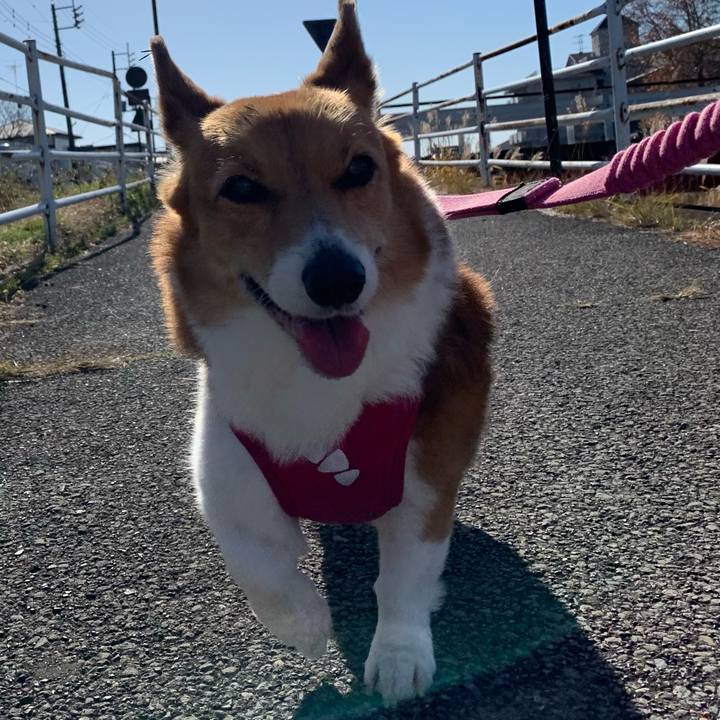 6a115bef e771 4203 bae5 dbb1d81f91c9 1702093862047