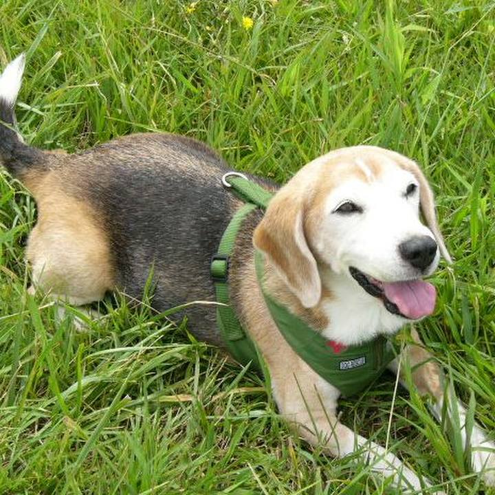 6a115e78 c823 4965 8cfd f4de573a908d 1668213609236