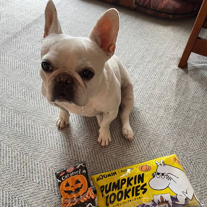 6a11b557 c996 46ae be58 897605b5c220 1758841810430