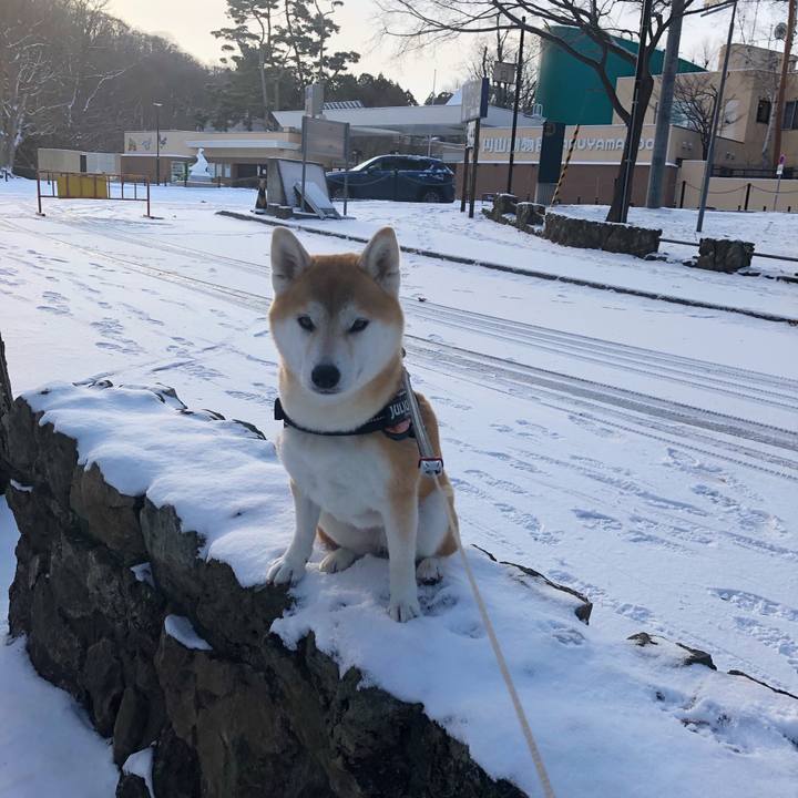 6a11b706 82f8 4555 a2ae 023586336ea0 1574990964056