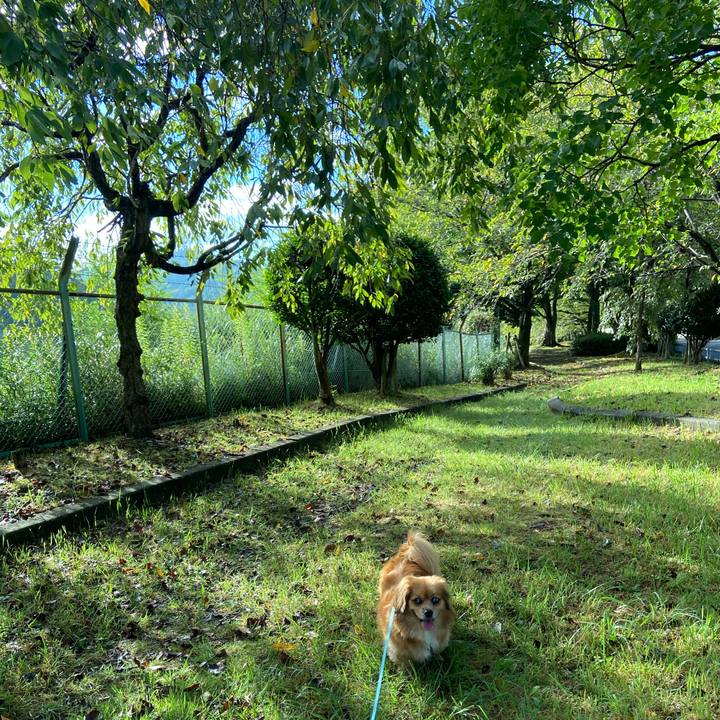 6a11ed08 1ec5 4ec0 9703 d89bc2ad6cf9 1599347084054