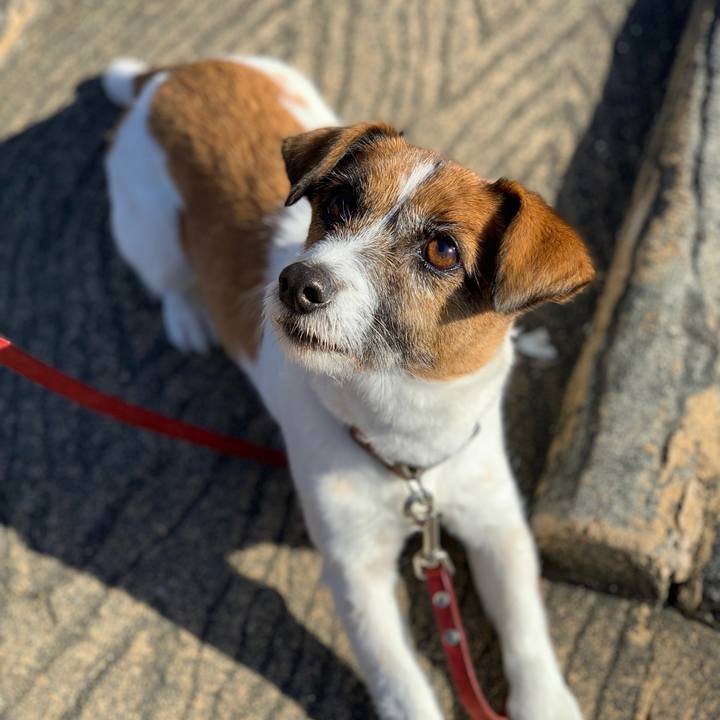 6a123d58 c67b 4bc8 893d e84c44891098 1546331749311