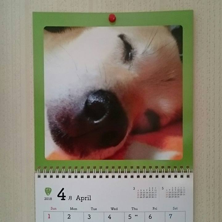 6a12421b 6196 4285 9152 ee2dbfab4f5f 1522542873201