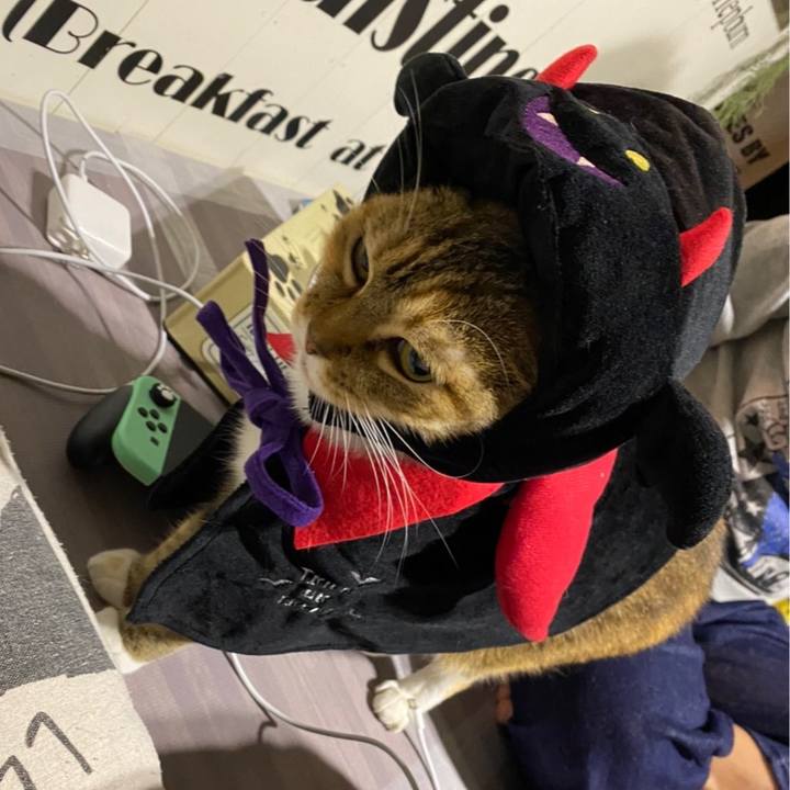 6a124dd9 8747 44a1 8d6c cb534d483c90 1605449396827