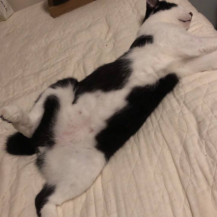 6a125b01 daa7 4d49 a8e1 a45e2b0fcb48 1565809130594