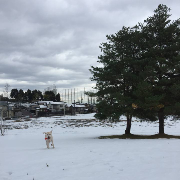 6a125b8c 2788 41e7 9987 6f0d845149f0 1511233921437