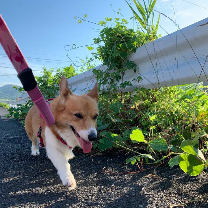 6a12a8da 180a 4685 ac69 1206aeebf9bd 1721689222104