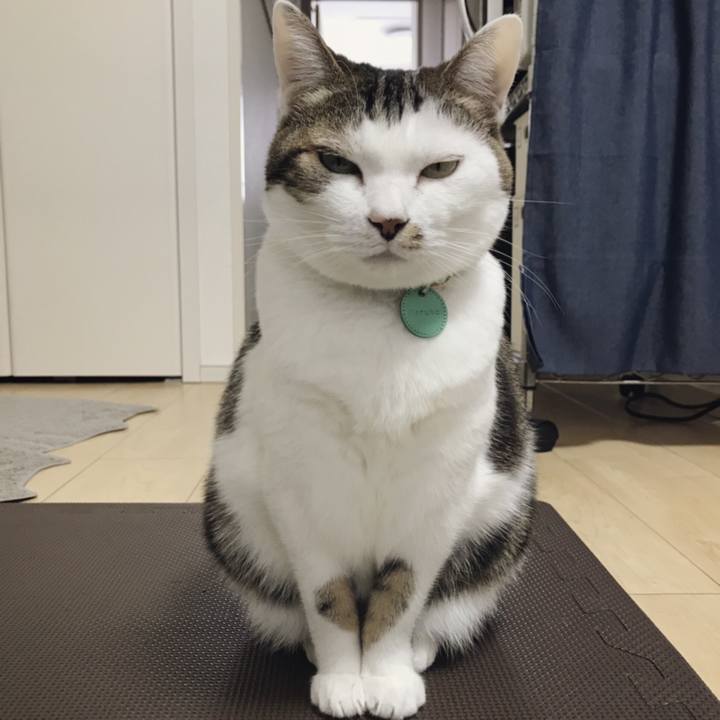 6a12b605 a804 4c12 93cc a4036137baf1 1548904432653