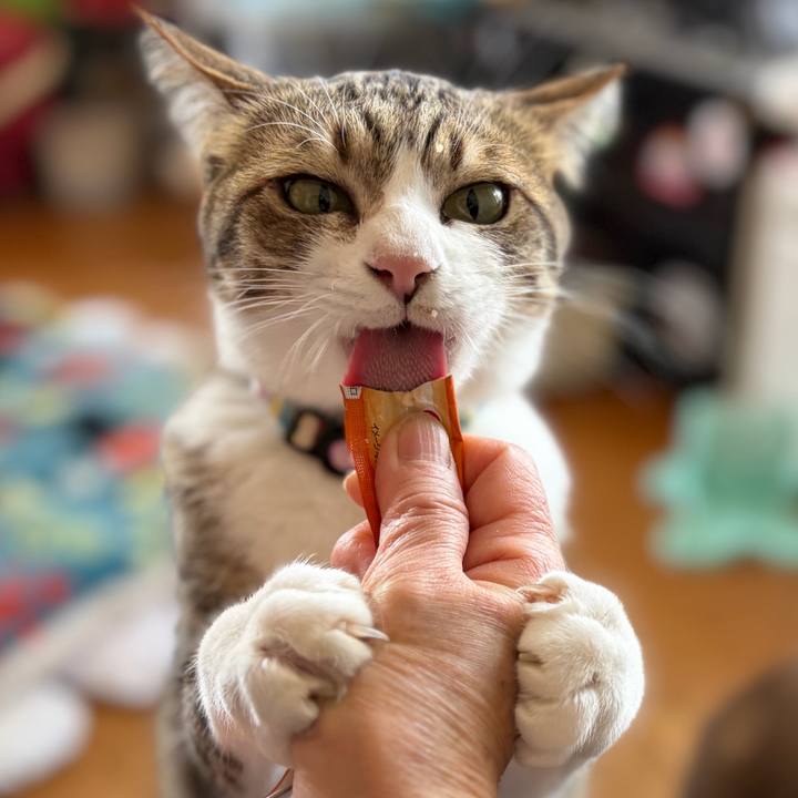 6a130015 8313 42a0 978d defa83218142 1774179940438