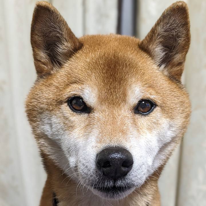 6a1306da d3f9 4527 aba9 d19026718d77 1707227447605