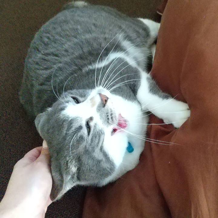 6a1327da f335 4ecd 96fb f2a0f9ffd64a 1636176767555