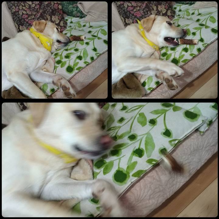 6a136549 fdda 4955 b825 065b90449278 1584445869768