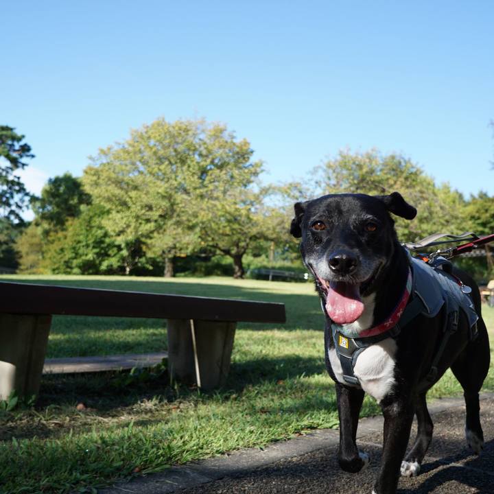 6a13c3ee da4b 4b2a 91c4 4069c9ca317a 1758847235283