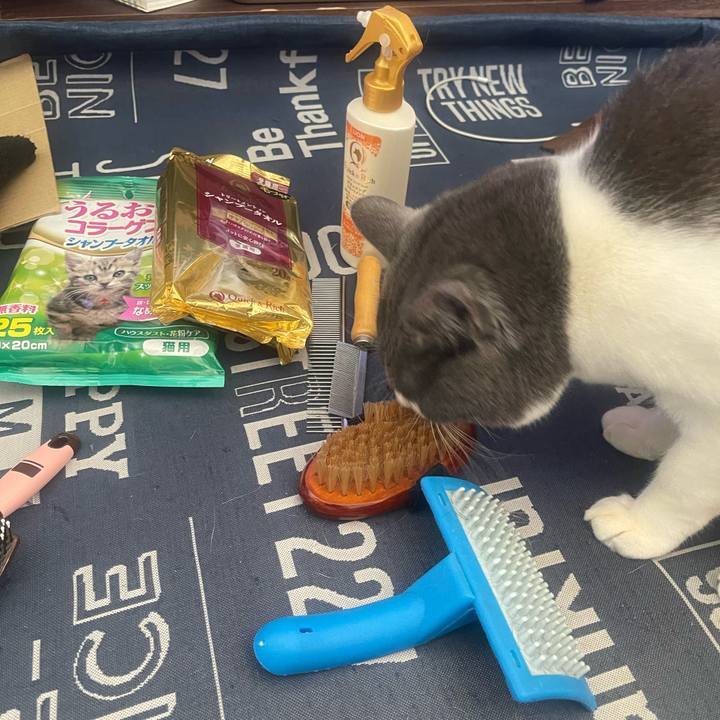 6a13c56d 59af 49e6 a298 591f165d74da 1710040125779