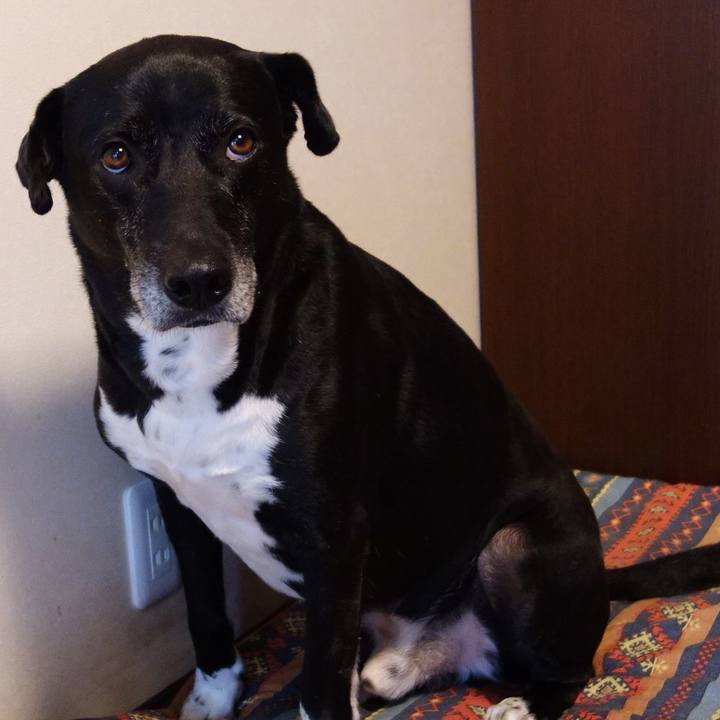 6a13d2fc 5fb9 40e2 9d8e d24531ebc51d 1717375697564