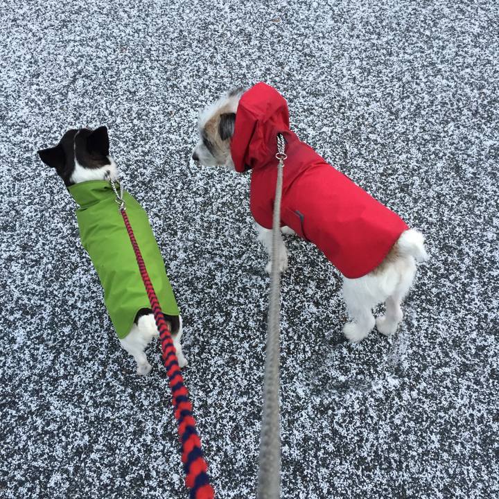 6a13ea8c b489 4f6c 9e14 cb3385fc1fec 1513557426593