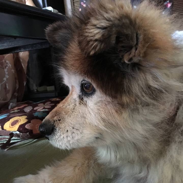 6a13f1b5 f882 402b b65f 0282591d189e 1569372857195