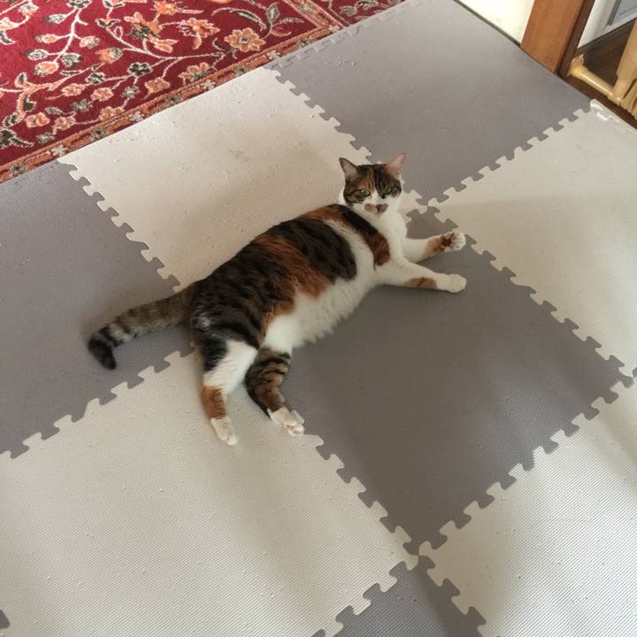 6a148747 dccf 4853 95d2 8ca0643b7c12 1699327076672