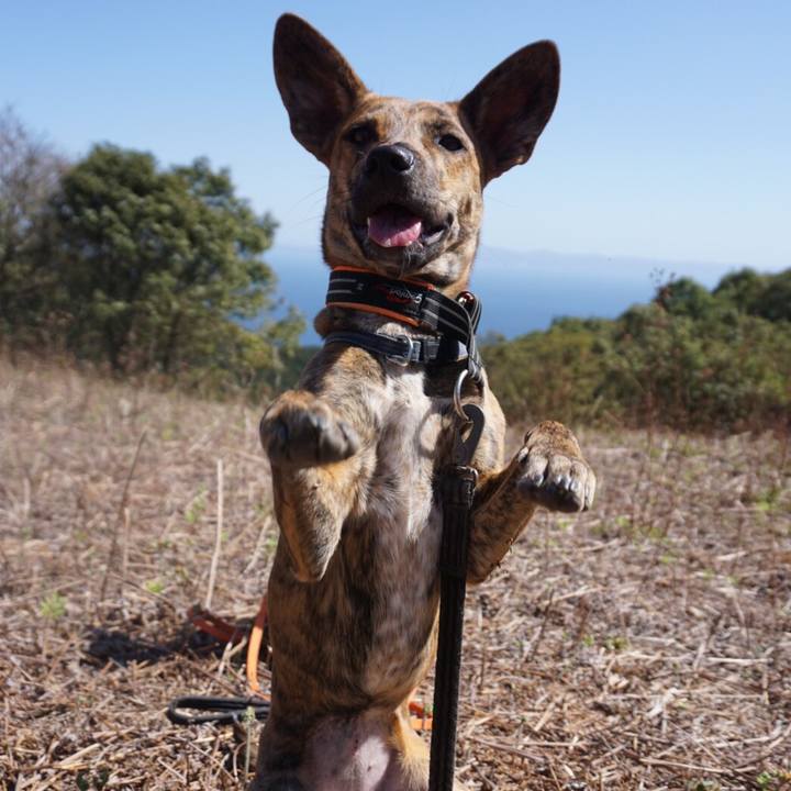 6a14a4a6 b769 481c a870 1aceb65c33f1 1585829563031