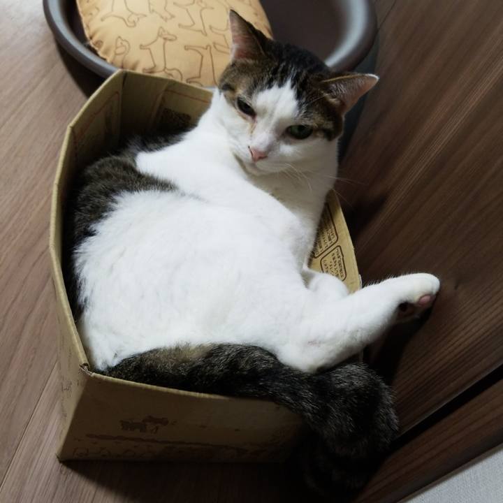 6a14ad16 ce06 48b1 816b 685dbb6e727c 1595453855555