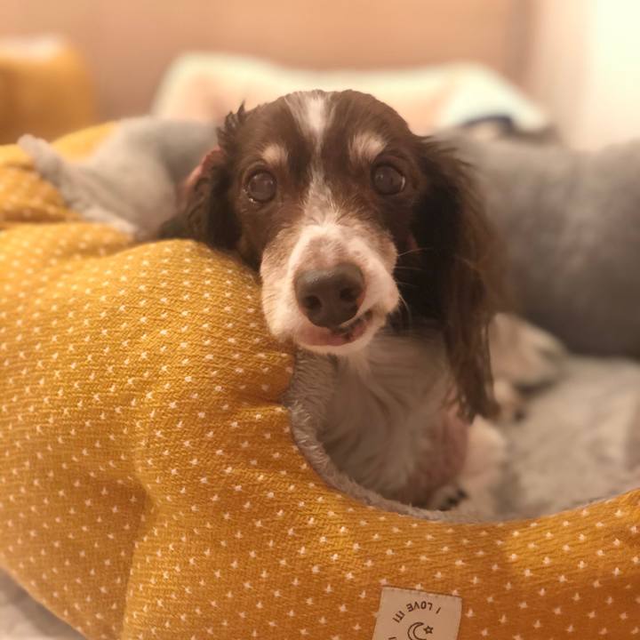 6a14c326 df63 434b 9f61 b872c6a09845 1608002182880