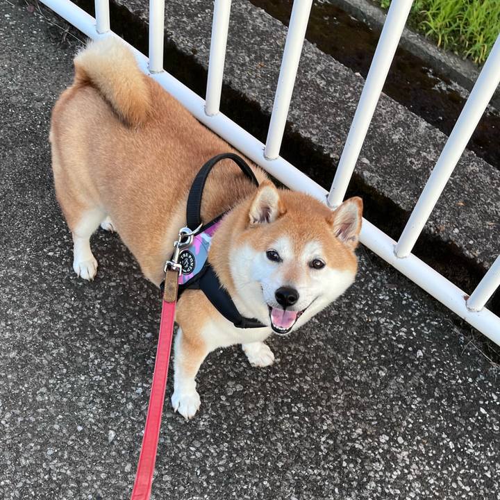 6a14de30 3d1c 4368 9687 f0e89a628154 1688473651274