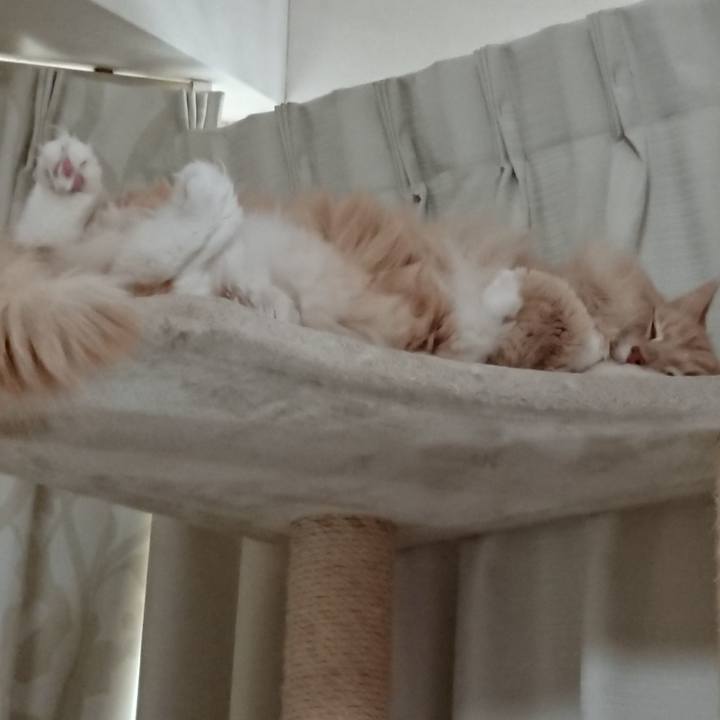 6a14fcdb 2d2f 4fe3 a6a4 1315e696e7d1 1578202689468