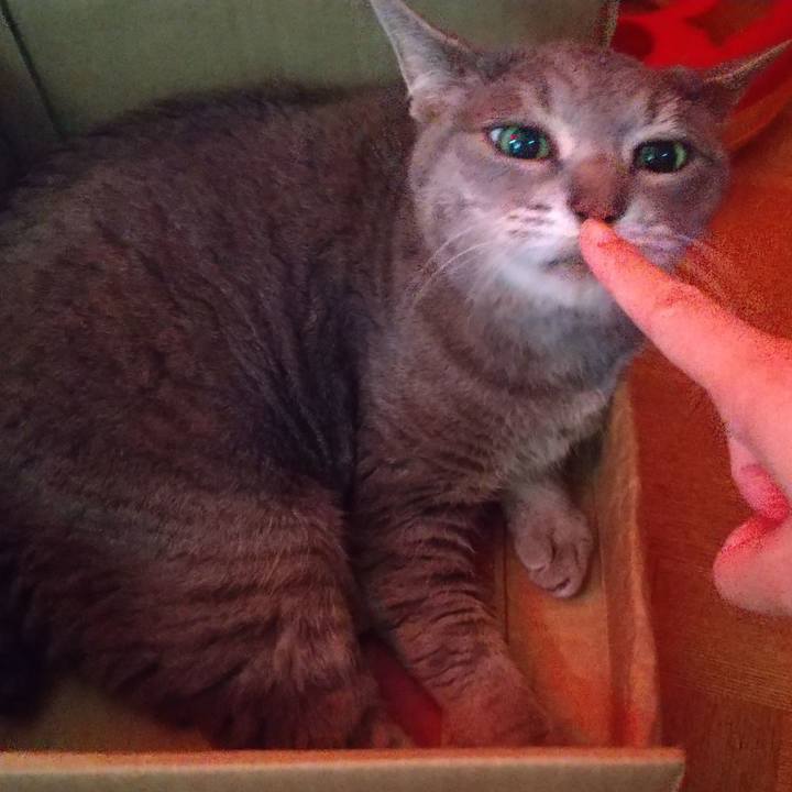 6a15112b 111d 4f76 8c47 f1aec8bb46ff 1624230635089