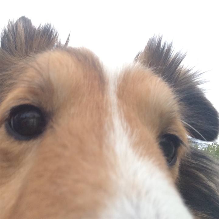 6a1558ab b255 4131 9eca 37ce94c76936 1579433353413