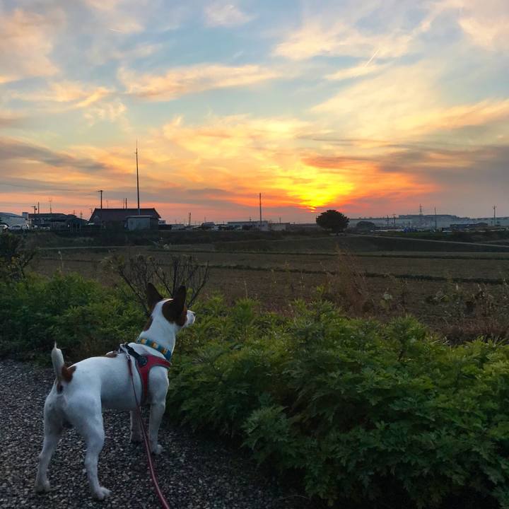 6a15a73d 41e7 4e52 85c4 7f8399584cd0 1512641817927