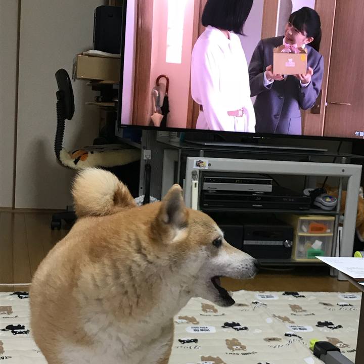 6a15bbec 74b9 42e0 a4db 37bf4ac83cae 1526703513625