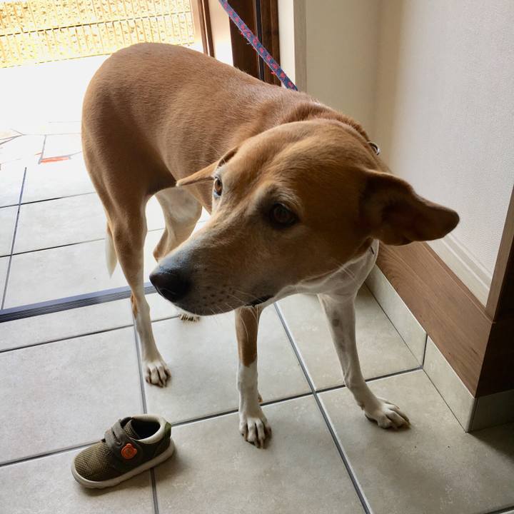 6a15d02a 1b1e 4f61 9dbc 38c6db337b62 1531715633391