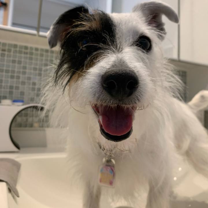 6a15d515 41ae 47b2 9a67 8c797c2a96d4 1654042297623