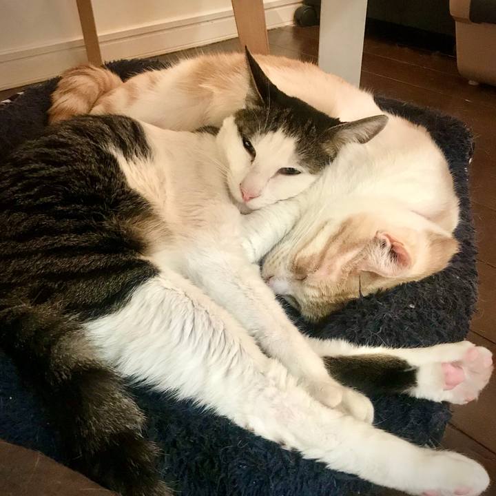 6a15d53a 16f3 427e 92a8 46ca40ea7579 1587834153337