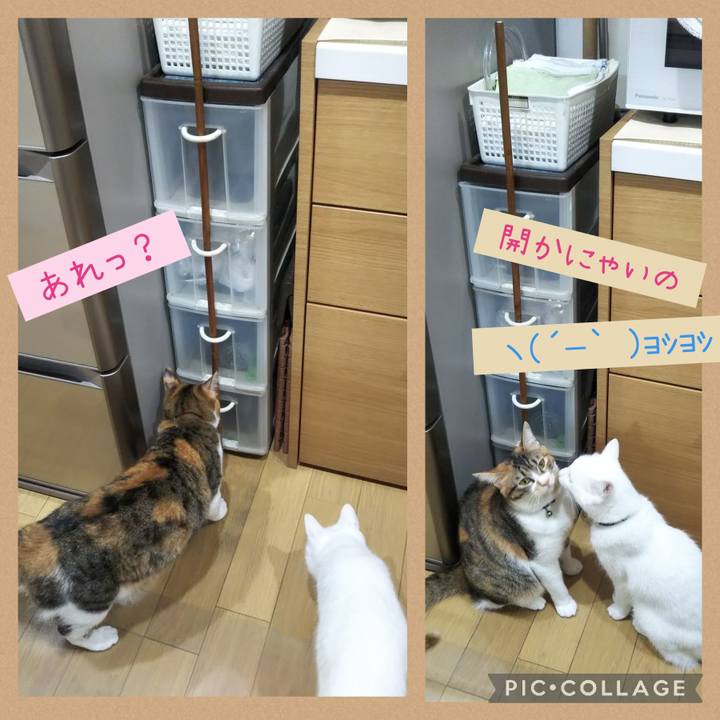 6a1606ed 525f 4b02 be36 0add147b7d82 1657918025602