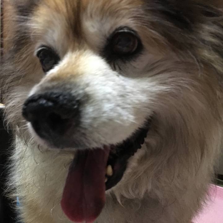 6a162b7d 6193 479e b844 721f77189ce2 1561319438943