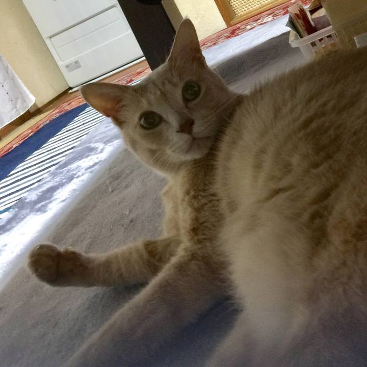 6a16533e 9501 48db 96ee 588d26f8ad41 1537187762817