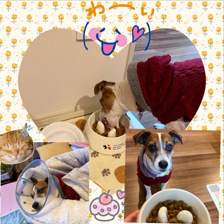 6a165d11 d788 4e6e 852a 3ca99c8f95ec 1766405179882