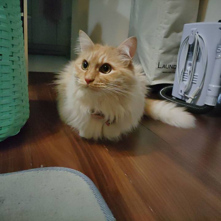 6a165fe7 a25b 47fc 85ac c94f749e2246 1708380420785