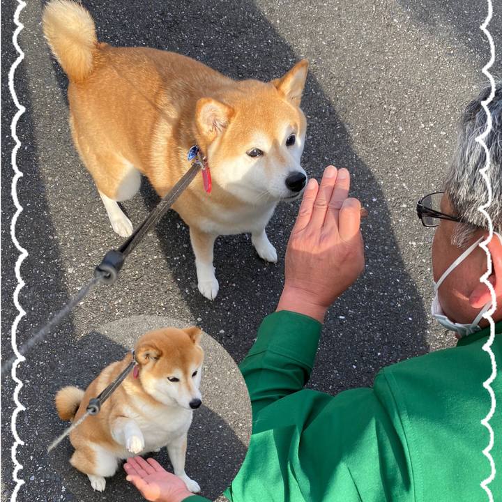 6a16d794 ef0d 4faf 99e0 d3cf1f1cd9d7 1633135683138