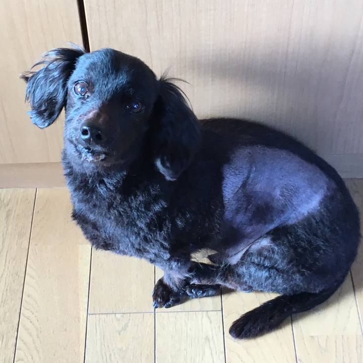 6a16feb3 7e19 49d5 bc13 b40cb26f32ca 1544136428251