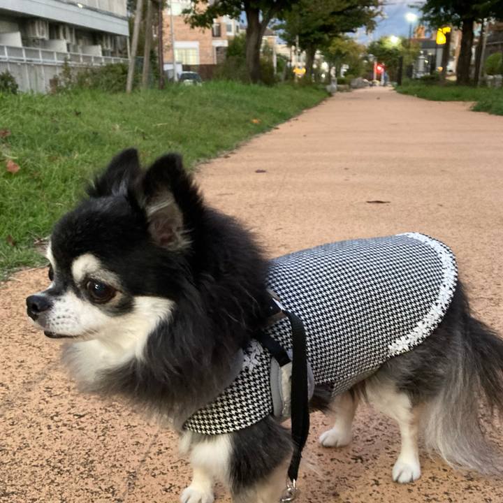 6a1705df 494a 46ad 83b4 ca22bc579f76 1761556544670