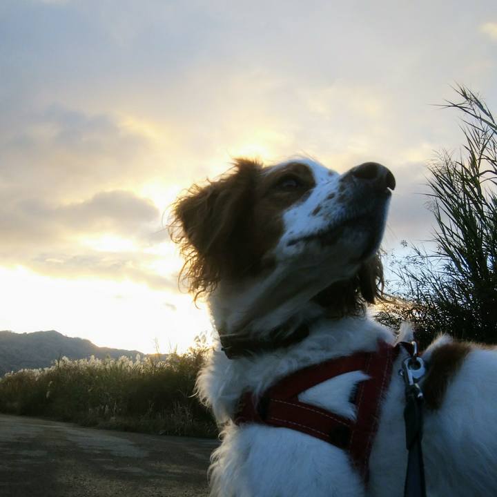 6a1718ed fc72 46d1 9b9d fb9572379241 1544746133177