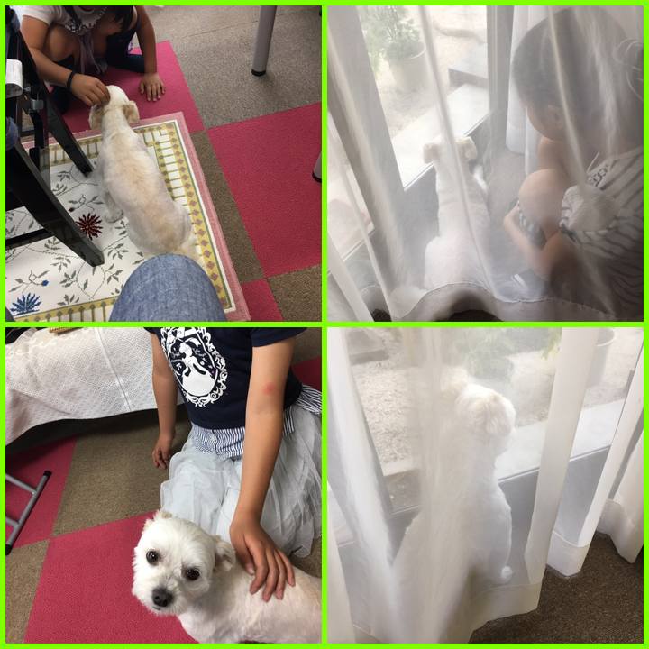 6a171acc 85ca 472b b5ab 3972baa513c0 1559809376464