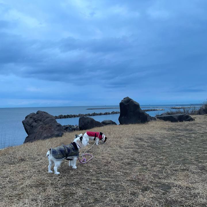 6a17221d f784 4fd1 bfa7 12f4a37c8da7 1737328443226