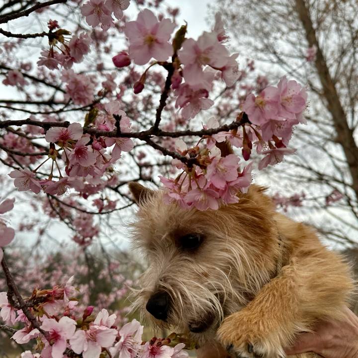 6a1757fc 2e22 4312 b6ae 69ee1f5255a3 1709240569025