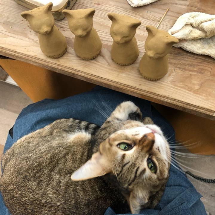 6a177685 3ee3 4e77 9d1e 8d1601c14db3 1705834251515