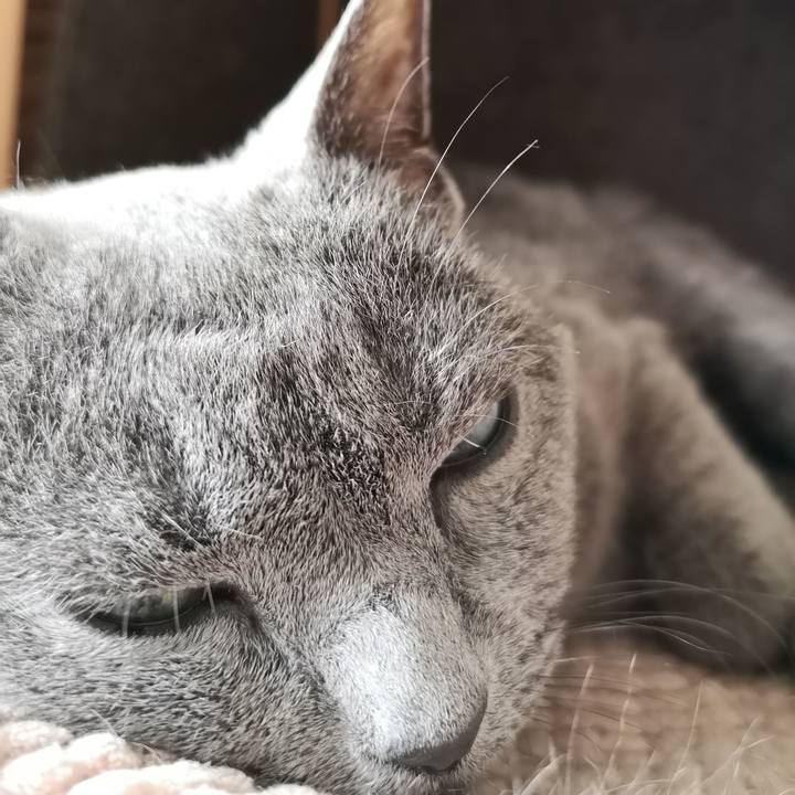 6a17adb9 7c54 4b7a bef6 3f0016da6767 1599979835456