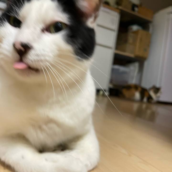 6a17d695 bffd 4b1a b6ad 65d60e773b59 1716284268900