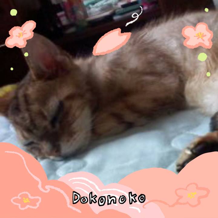 6a17edc5 4a74 48e1 bdfa 57091c56c6dc 1775659155976